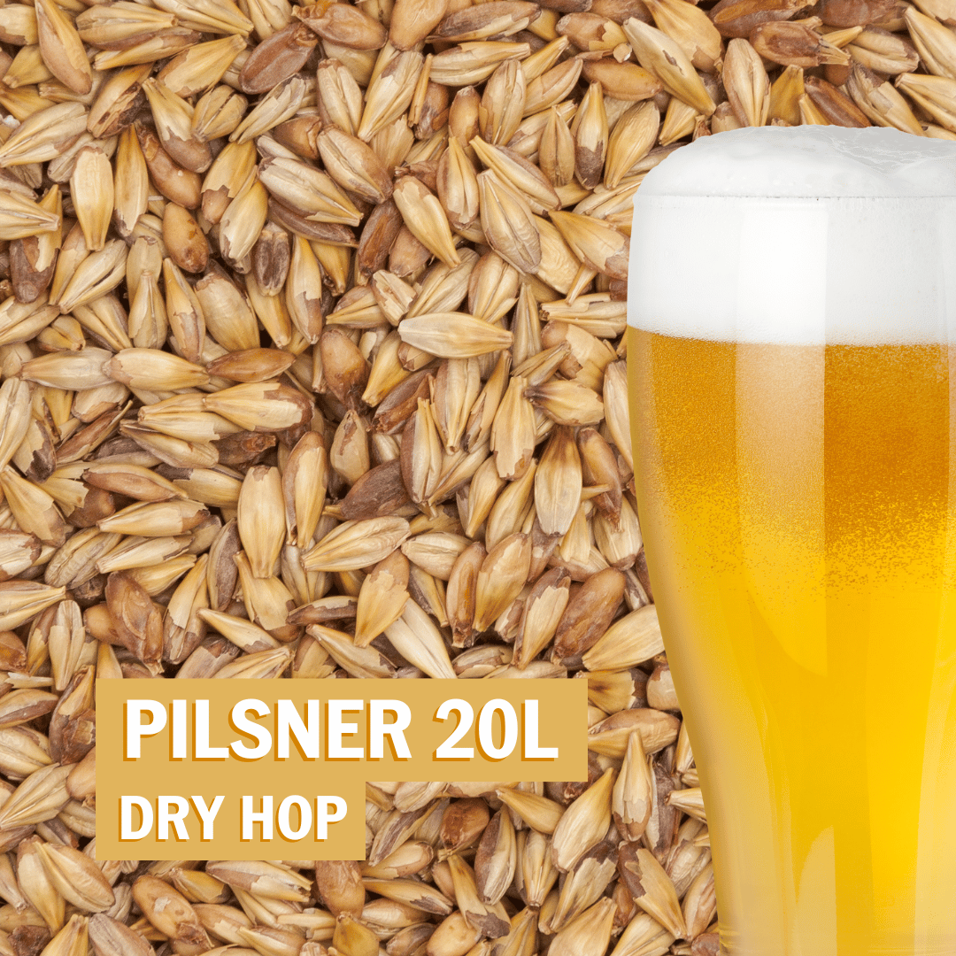 cerveja Pilsner a partir de grão com Dry Hop