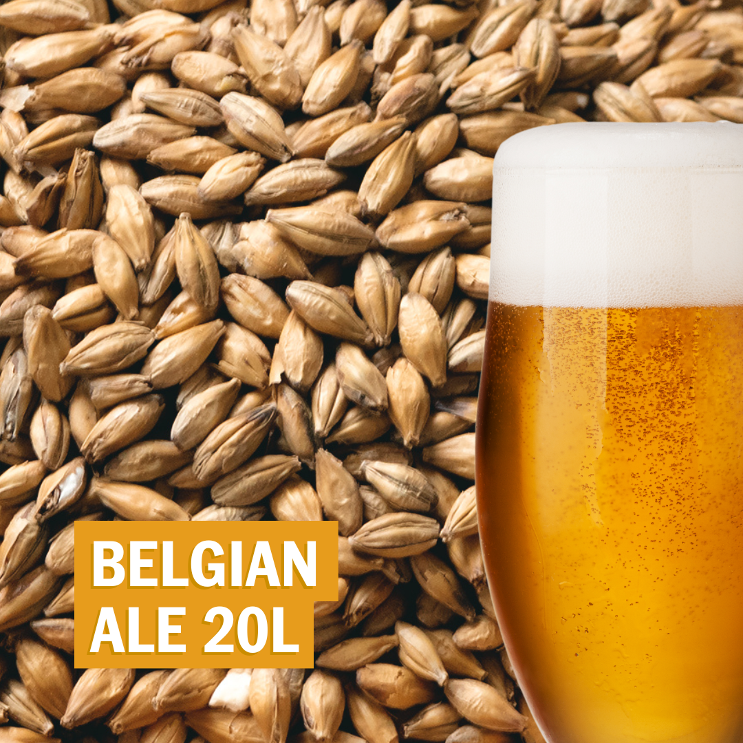 Receita Belgian Ale 20L
